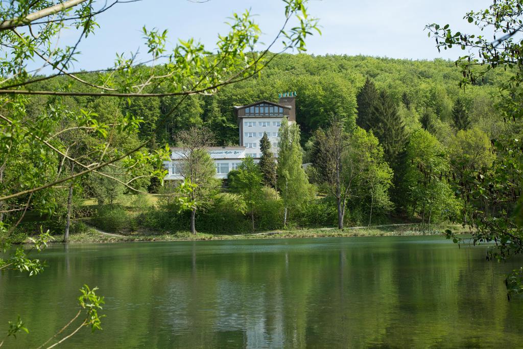 Hotel Reifenstein Kleinbartloff Εξωτερικό φωτογραφία